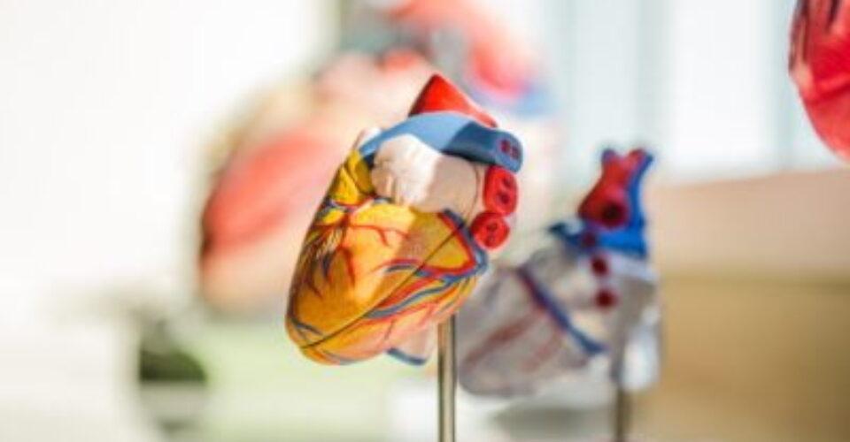 Understanding right ventricle complications