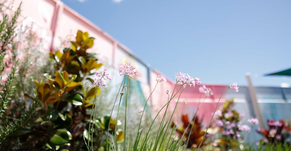 Dementia Sensory Garden provides joy and purpose for patients