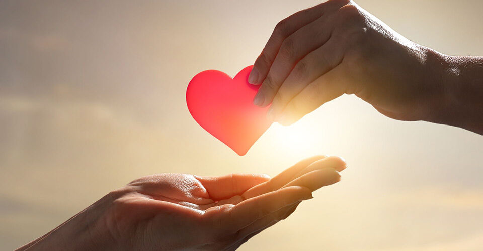 It's Heart Week: Let’s Talk About the Health of Your Heart