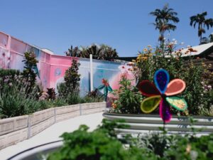 TCG Giving Day Impacts Sensory Garden