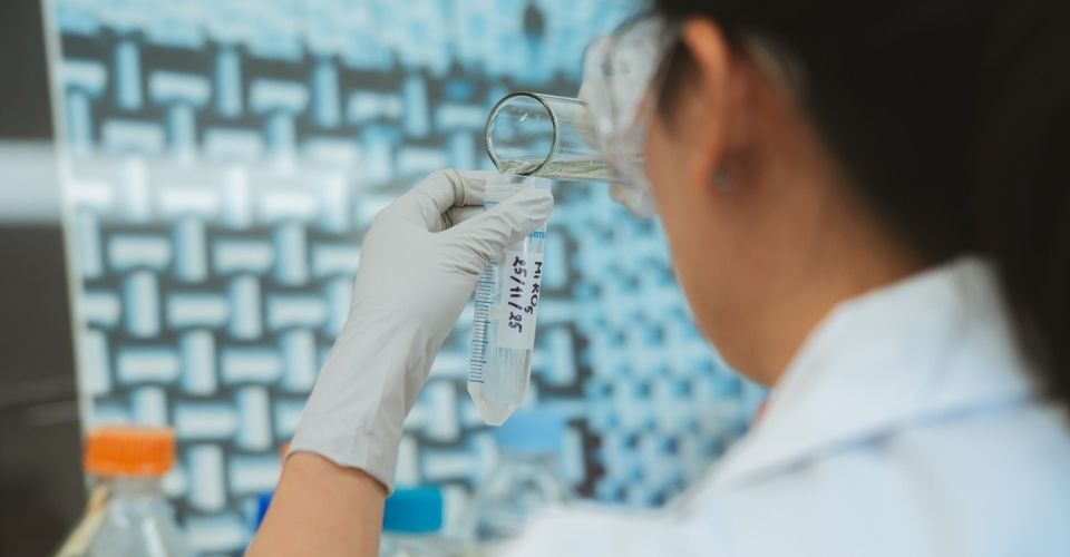 New Investigator Grants: the first step in the Foundation’s researcher pathway